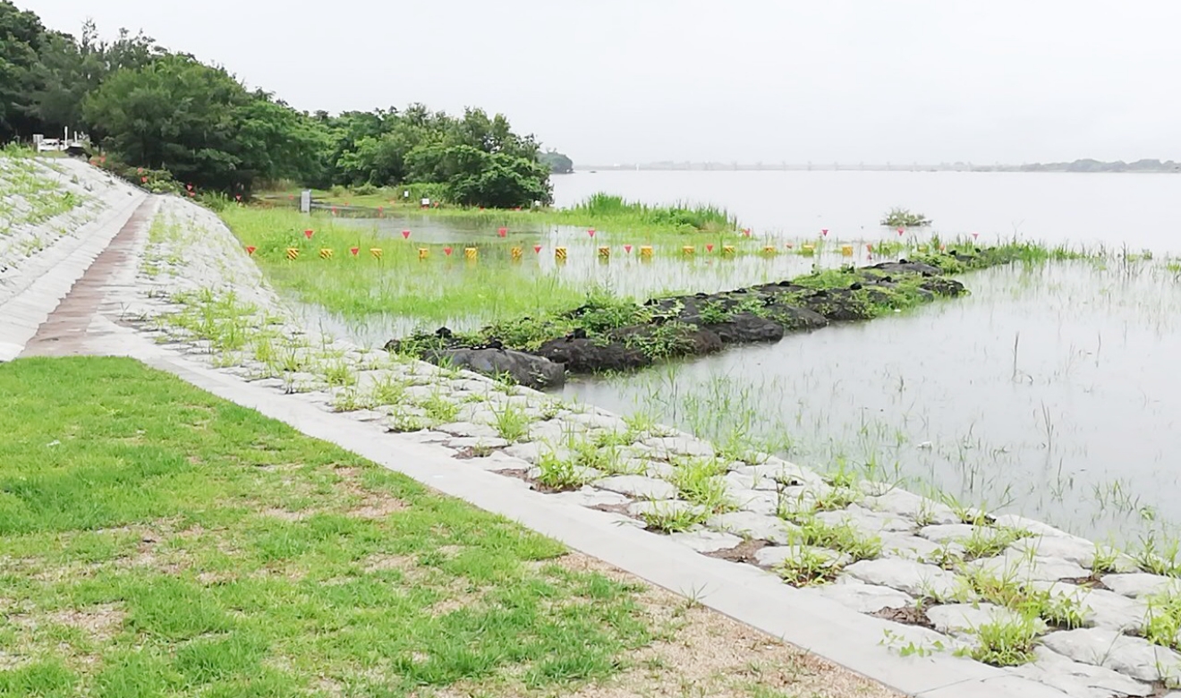 木曽川祖父江護岸工事